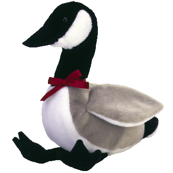 Loosy the Canadian Goose