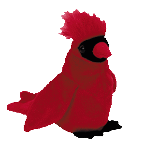 Mac the Cardinal