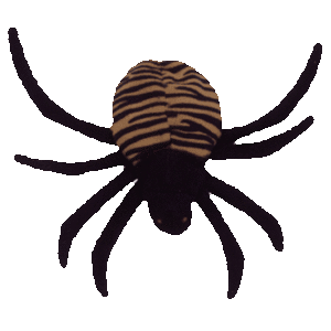 Spinner